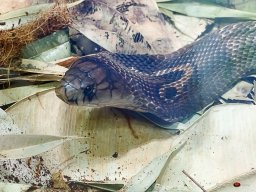 Tiergarten Schönbrunn am 23.03.2023